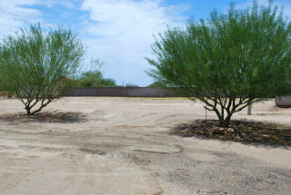 12110 215th Dr, Buckeye, AZ 85326-5032