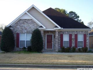 992 Tracey Ln, Decatur, AL 35601-7700