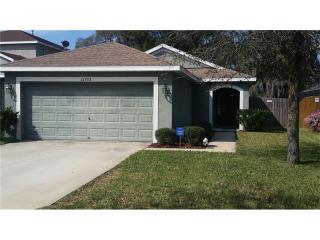 12703 Geneva Glade Dr, Riverview, FL 33578-7606