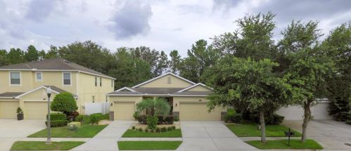 24138 San Giovanni Dr, Land O Lakes, FL 34639-3001