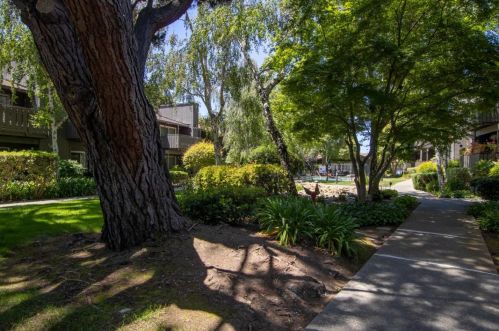 50 Middlefield Rd, Mountain View CA  94043-3802 exterior