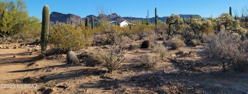10003 Horse Mesa Trl, Tucson AZ  85743-7583 exterior