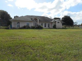 1315 Red Colt Ct, Astor, FL 32102-7970