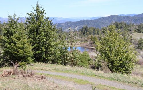 28901 Skyview Rd, Willits CA  95490-8420 exterior