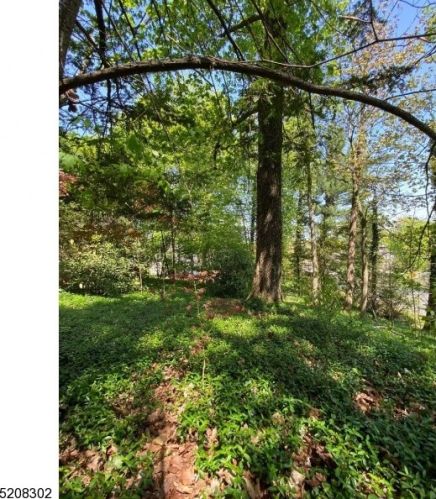 128 Fairmount Ave, Chatham Township, NJ 07928-1836