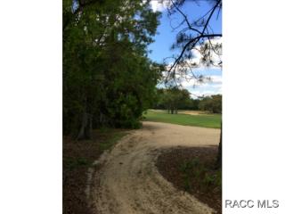 3845 Shadow Creek Loop, Lecanto FL  34461-6926 exterior