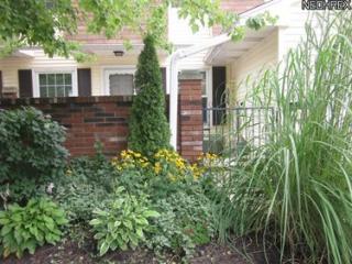 25 Darby Ct, Concord Township, OH 44060-6610