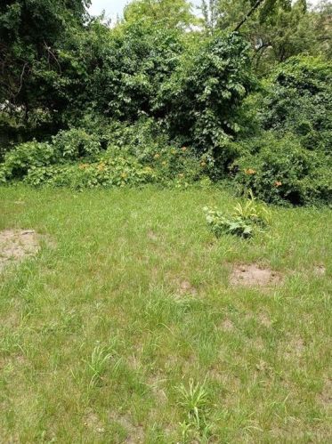 126 Silver Spring St, Providence RI  02904-2523 exterior