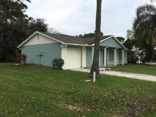 4833 Gifford Blvd, Orlando, FL 32821-8236
