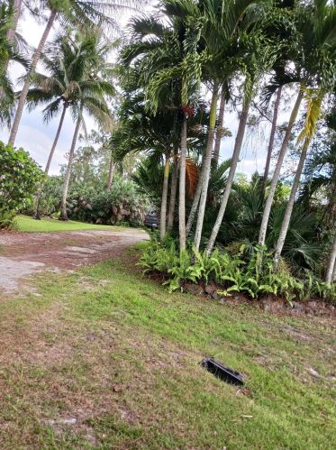 15314 82nd St, Town Of Loxahatchee Groves, FL 33470-2878
