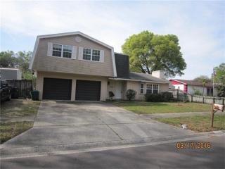 17840 Morninghigh Dr, Lutz, FL 33549-5524