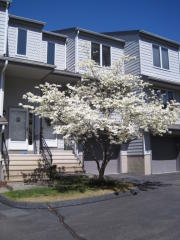 65 Wolfpit Ave, Norwalk CT  06851-4237 exterior
