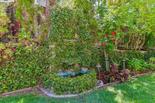 330 Langton Ct, San Ramon CA  94582-4692 exterior