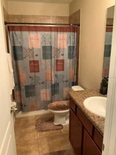 10424 Yellow Spice Ct, Riverview FL  33568 exterior