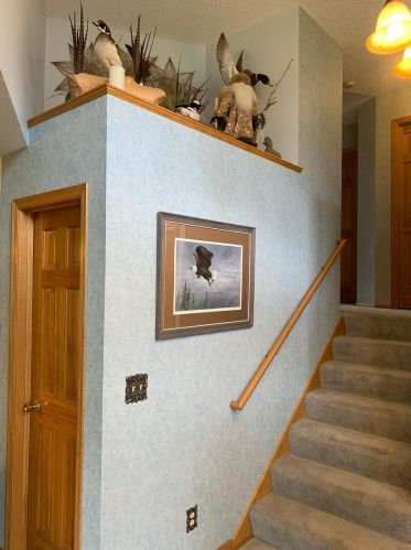 192 Ulmer Dr, Lino Lakes MN  55014-1200 exterior