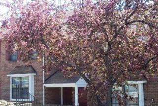 402 Cadwalader Cir, Exton PA  19341-1664 exterior