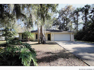 2917 Tamarind Dr, Edgewater FL  32141-5507 exterior