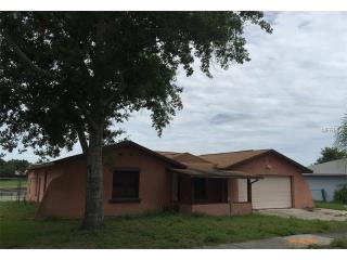 6441 Swallow Hill Dr, Orlando, FL 32818-2262
