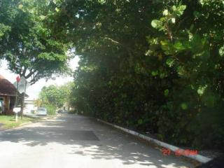 8102 20th Ct, Hollywood, FL