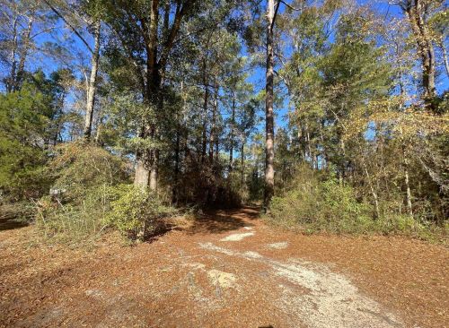 76 Coy Ellis Rd, Defuniak Springs, FL 32433-5028