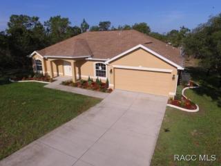 10373 Fieldvue Rd, Brooksville, FL 34613-3830