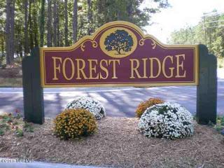 138 Forest Ridge Trl, Stella, NC 28582-9772