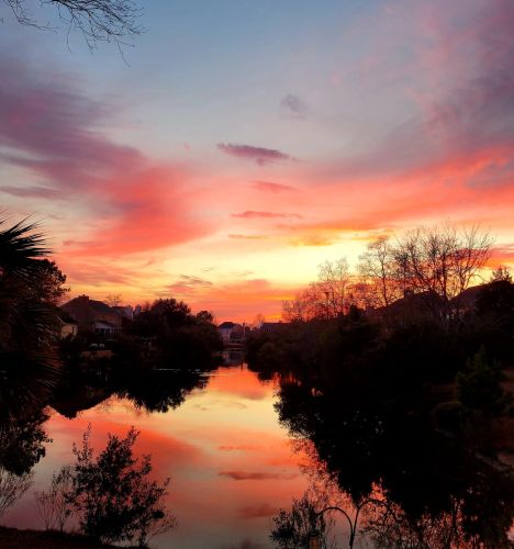 175 Oak Pt Lndg Dr, Mount Pleasant SC 29464-6279 exterior