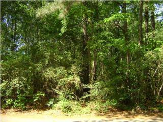 533 Wimbledon Dr, Charleston, SC 29412-2917