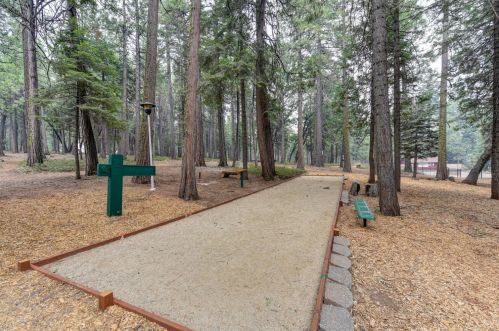 4010 Opal Trl, Pacific House CA  95726-9736 exterior