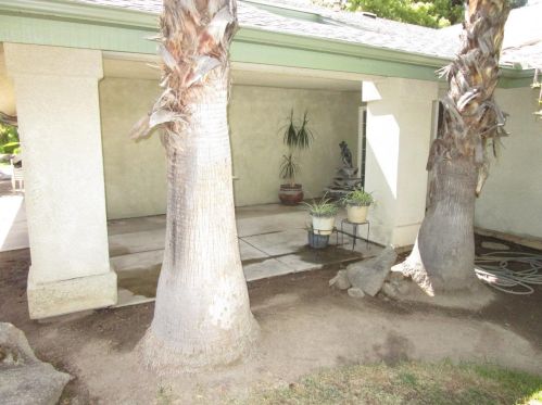 1931 San Gabriel Ave, Clovis CA  93611-4124 exterior