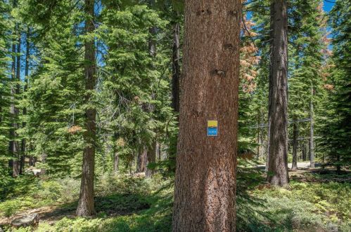 1348 Ottawa Dr, South Lake Tahoe CA  96150-4820 exterior