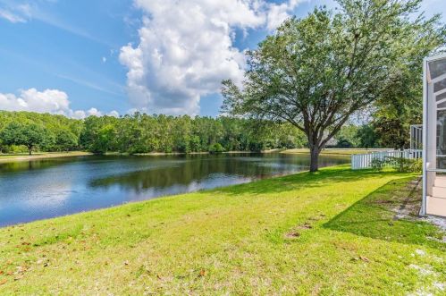 4823 Sky Blue Dr, Lutz FL  33558-8055 exterior