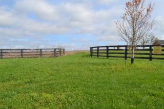 1479 Cummins Ferry Rd, Bondville, KY 40372-9306