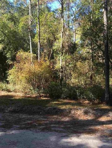 40 Mackery Woods Rd, Saint Teresa, FL 32358-1224