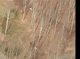 1107 Mountain Rd, Mc Donald, TN 37353-4910
