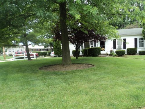 821 Fairwood Ave, Marion, OH 43302-1848