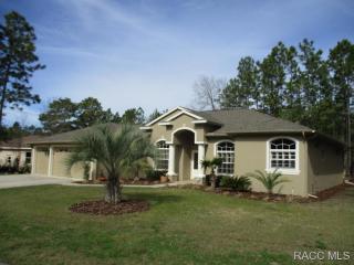 2 Fringetree St, Homosassa, FL 34446-4407