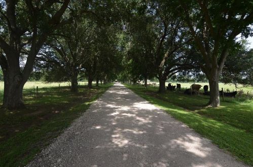 1202 Fm 359 Rd, Richmond, TX 77406-2016