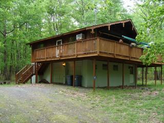 253 Mountain Top Rd, Lackawaxen, PA 18435-9769