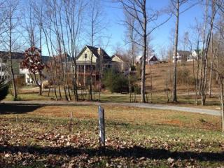 351 Blount St, Jonesborough, TN 37659-1373