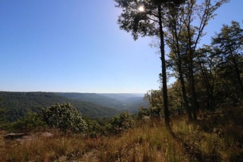 2140 Clifftops Ave, Monteagle TN  37356-2080 exterior