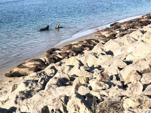 320 Rossmore Dr, Oxnard CA  93035-4465 exterior