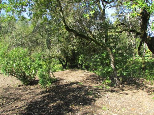 6430 Stone Brg Rd, Santa Rosa CA  95409-5827 exterior