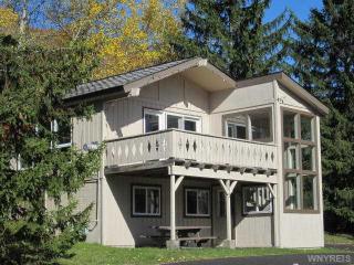 6822 Springs Rd, Ellicottville, NY 14731-9628