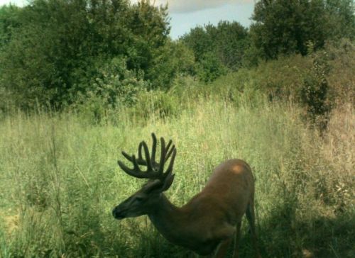730 John Brown Rd, Williamsburg, KS 66095