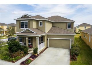 3201 Dark Sky Dr, Saint Cloud, FL 34773-6079