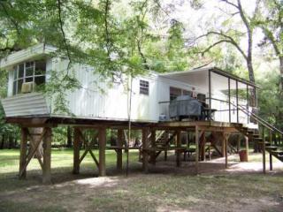 5229 72nd Way, Bell, FL 32619-3852