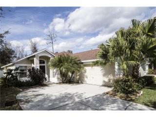 16852 Hawkridge Rd, Lithia, FL 33547-5810