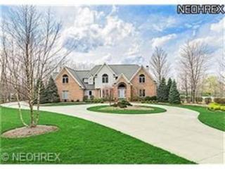 10260 Sawmill Dr, Concord Township, OH 44024-8219