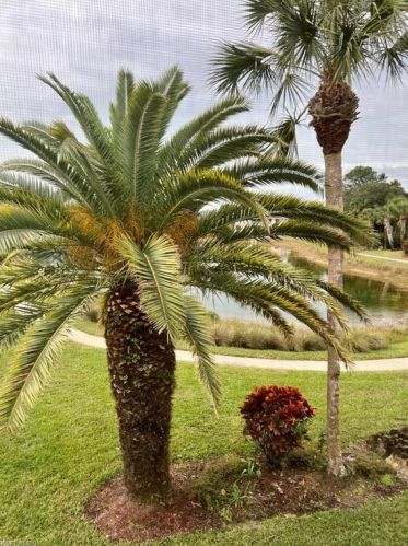 249 Gabriel Cir, Naples FL  34104-5448 exterior
